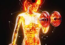 La force retrouvée des femmes : reconstruire sa masse musculaire à tout âge reconstruire sa masse musculaire