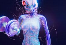 Le muscle féminin redéfinit-il les nouveaux standards de beauté en 2026 muscle féminin