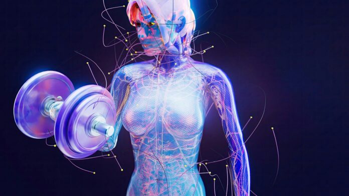 muscle féminin